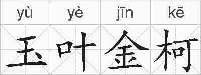 玉叶金柯的拼音