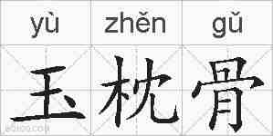 玉枕骨的拼音