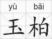 玉柏的拼音