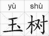 玉树的拼音