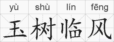 玉树临风的拼音