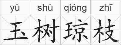 玉树琼枝的拼音