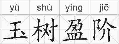 玉树盈阶的拼音