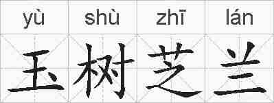玉树芝兰的拼音