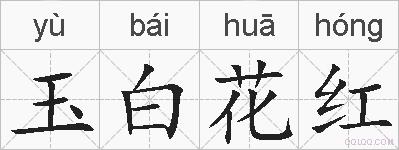 玉白花红的拼音