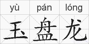 玉盘龙的拼音
