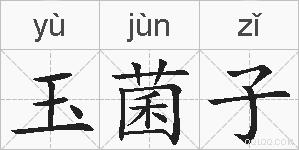 玉菌子的拼音