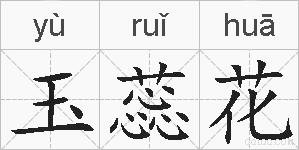 玉蕊花的拼音
