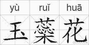 玉蘂花的拼音