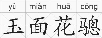 玉面花骢的拼音