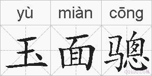 玉面骢的拼音
