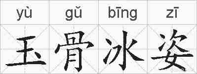玉骨冰姿的拼音