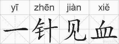 一针见血的拼音