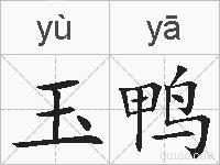 玉鸭的拼音