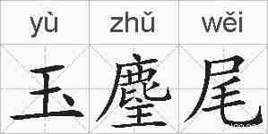 玉麈尾的拼音