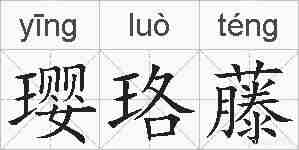 璎珞藤的拼音