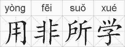 用非所学的拼音