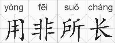 用非所长的拼音