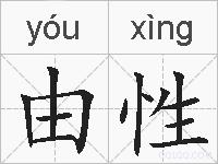 由性的拼音