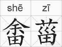 畬菑的拼音