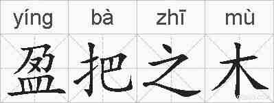 盈把之木的拼音