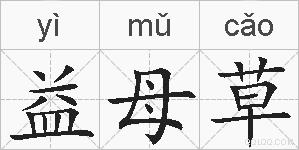 益母草的拼音