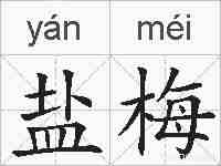盐梅的拼音