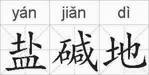 盐碱地的拼音