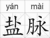 盐脉的拼音