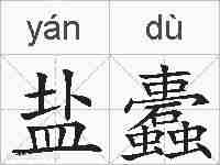 盐蠹的拼音