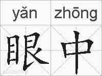 眼中的拼音