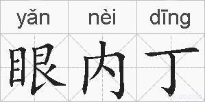 眼内丁的拼音