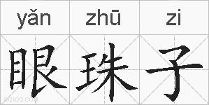 眼珠子的拼音