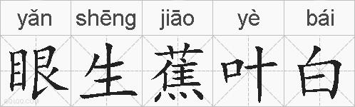 眼生蕉叶白的拼音