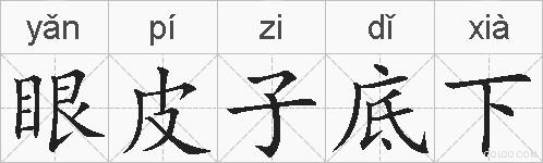 眼皮子底下的拼音