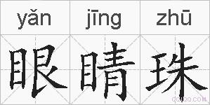眼睛珠的拼音