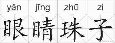 眼睛珠子的拼音