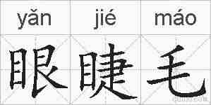 眼睫毛的拼音