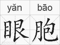眼胞的拼音