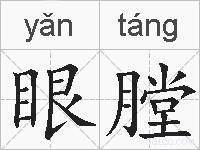 眼膛的拼音