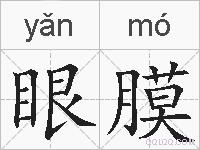 眼膜的拼音