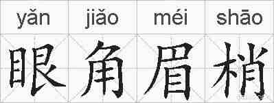 眼角眉梢的拼音