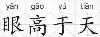 眼高于天的拼音