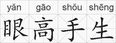 眼高手生的拼音