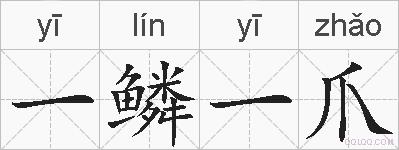 一鳞一爪的拼音