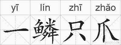 一鳞只爪的拼音