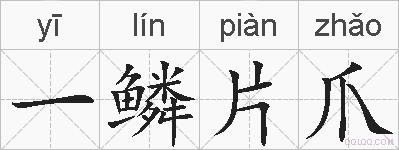 一鳞片爪的拼音