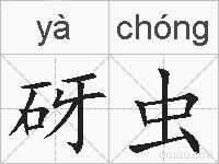 砑虫的拼音