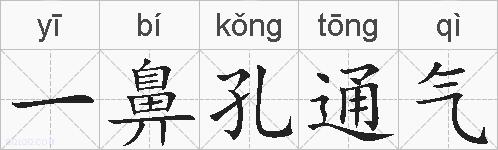 一鼻孔通气的拼音