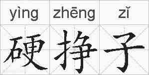 硬挣子的拼音